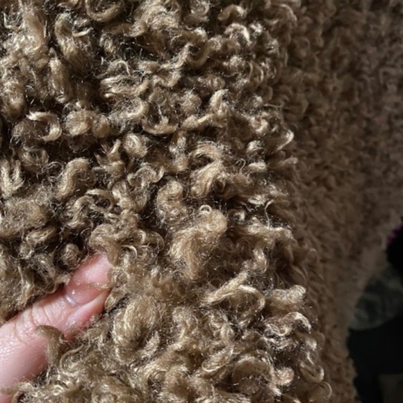 Zara Outerwear NWOT Woman Soft Faux Fur Brown Teddy Winter Coat - Picture 6 of 7